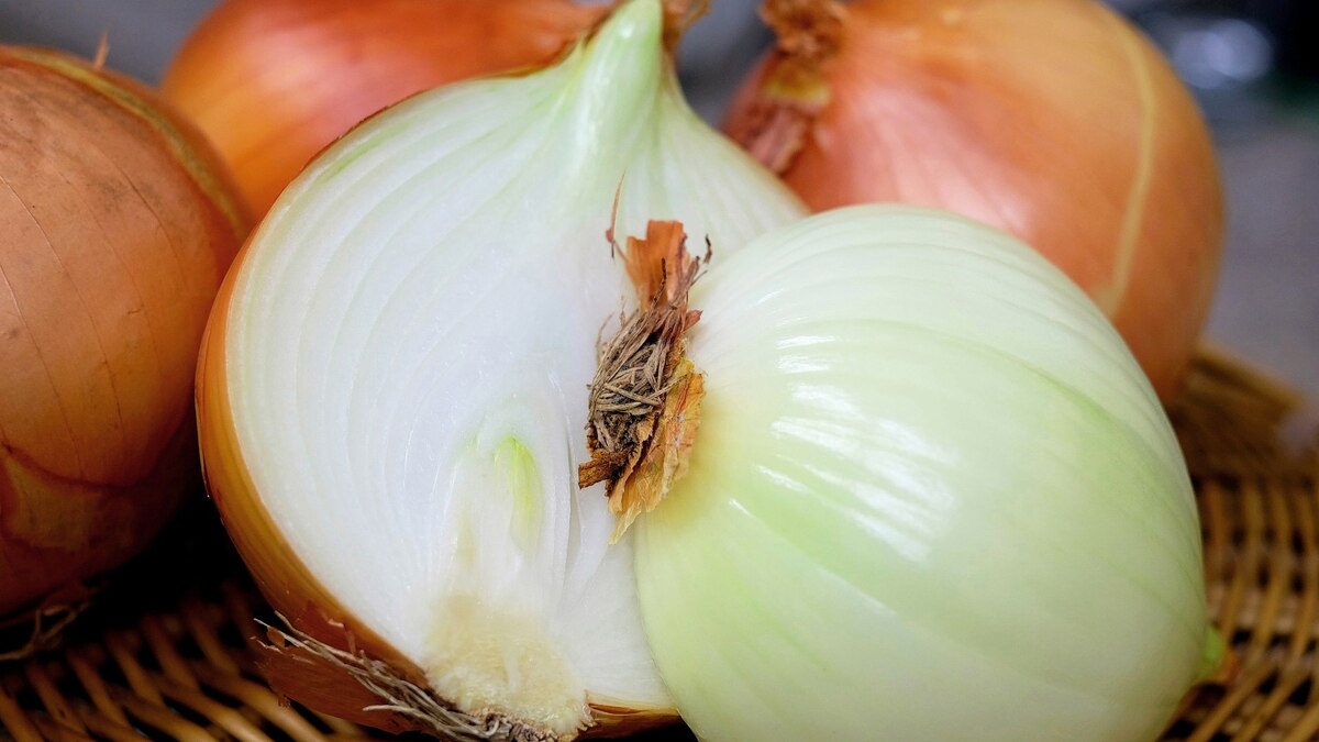 Zwiebelsäckchen mikrowelle - Die ausgezeichnetesten Zwiebelsäckchen mikrowelle ausführlich analysiert