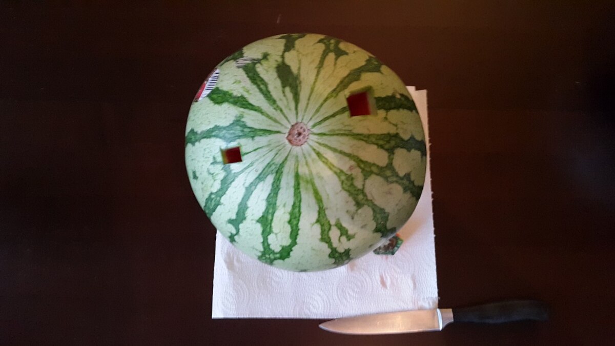 Auf was Sie als Kunde beim Kauf der Vodka melon Acht geben sollten!