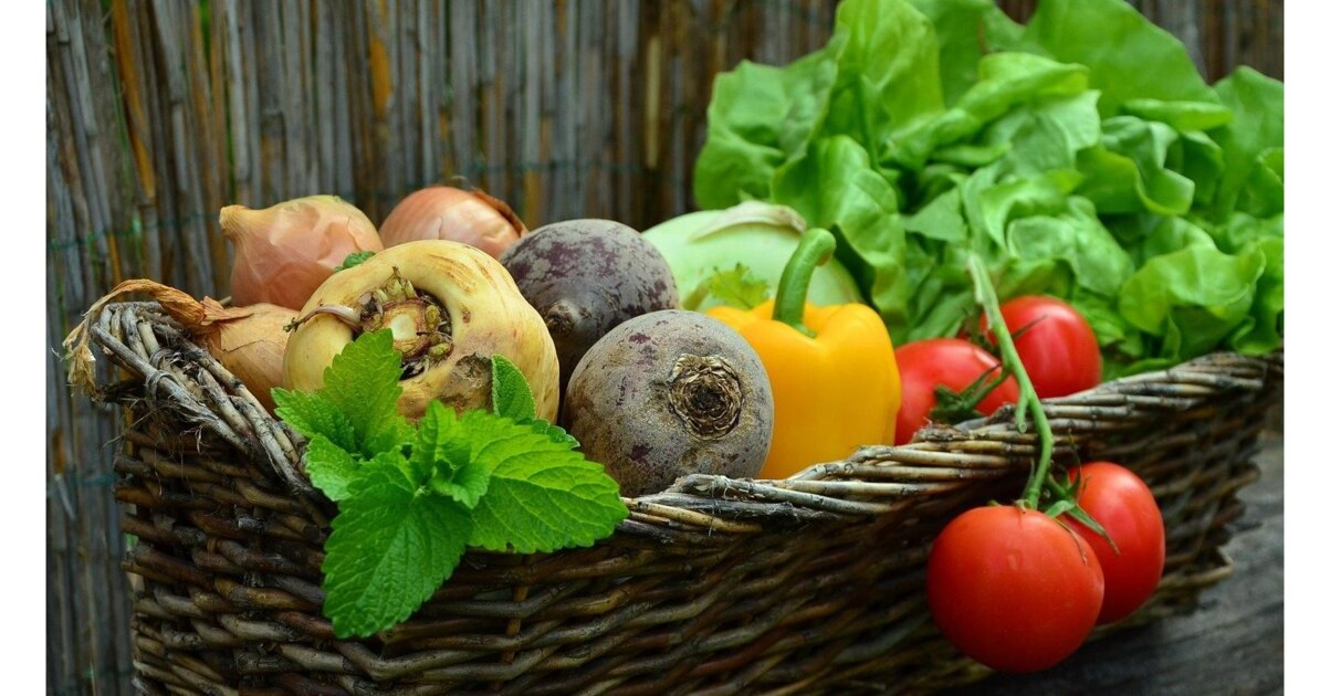 Gemuse Mit Viel Eiweiss Das Sind Die Top 10 Focus De Gemuse Mit Viel Eiweiss Das Sind Die Top 10 Focus De