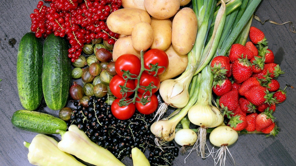 Lebensmittel wie frisches Obst und Gemüse können nicht lange im Kühlschrank aufbewahrt werden.