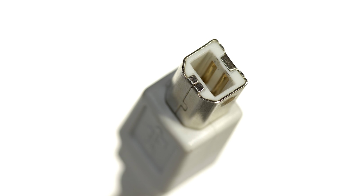 Die Top Vergleichssieger - Suchen Sie hier die Usb stecker b Ihrer Träume
