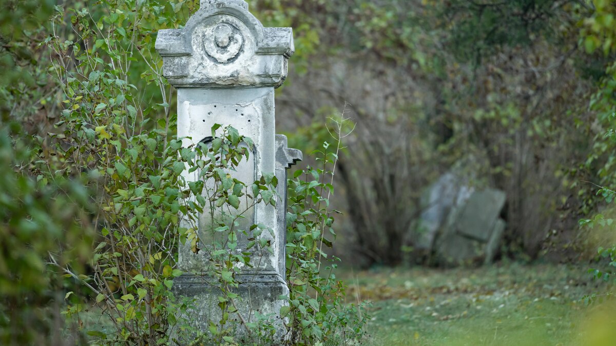 An old gravestone in St. Marx Cemetery (Vienna, Austria) in autumn, colored leaves Landstraße Austria