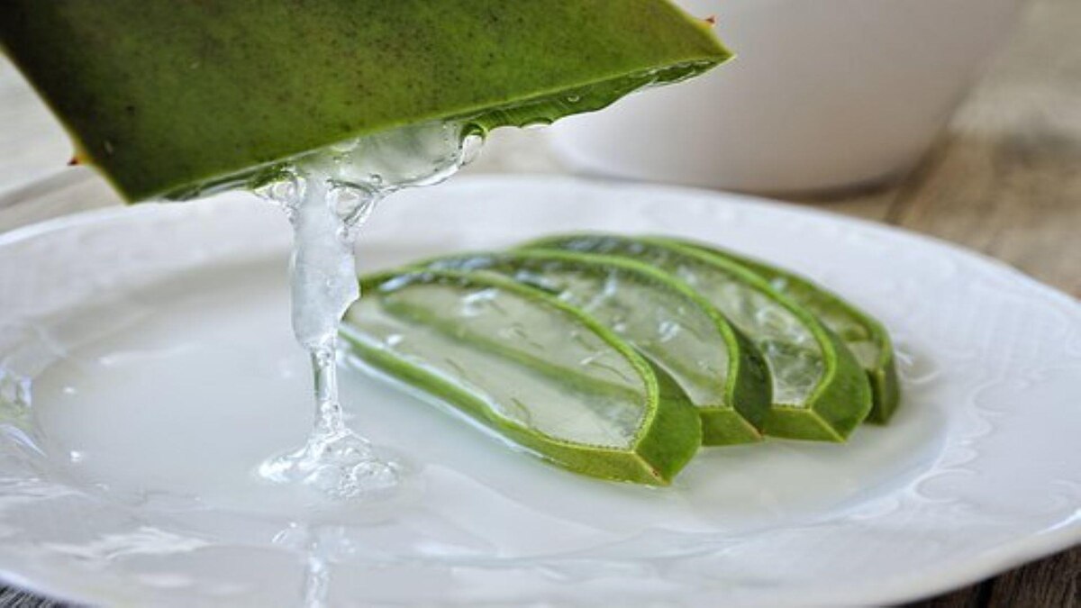 Unsere Top Produkte - Finden Sie bei uns die Gleitgel rezepte Ihrer Träume