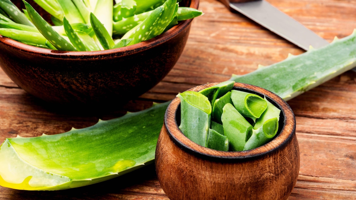Aloe vera gel haare - Wählen Sie unserem Testsieger