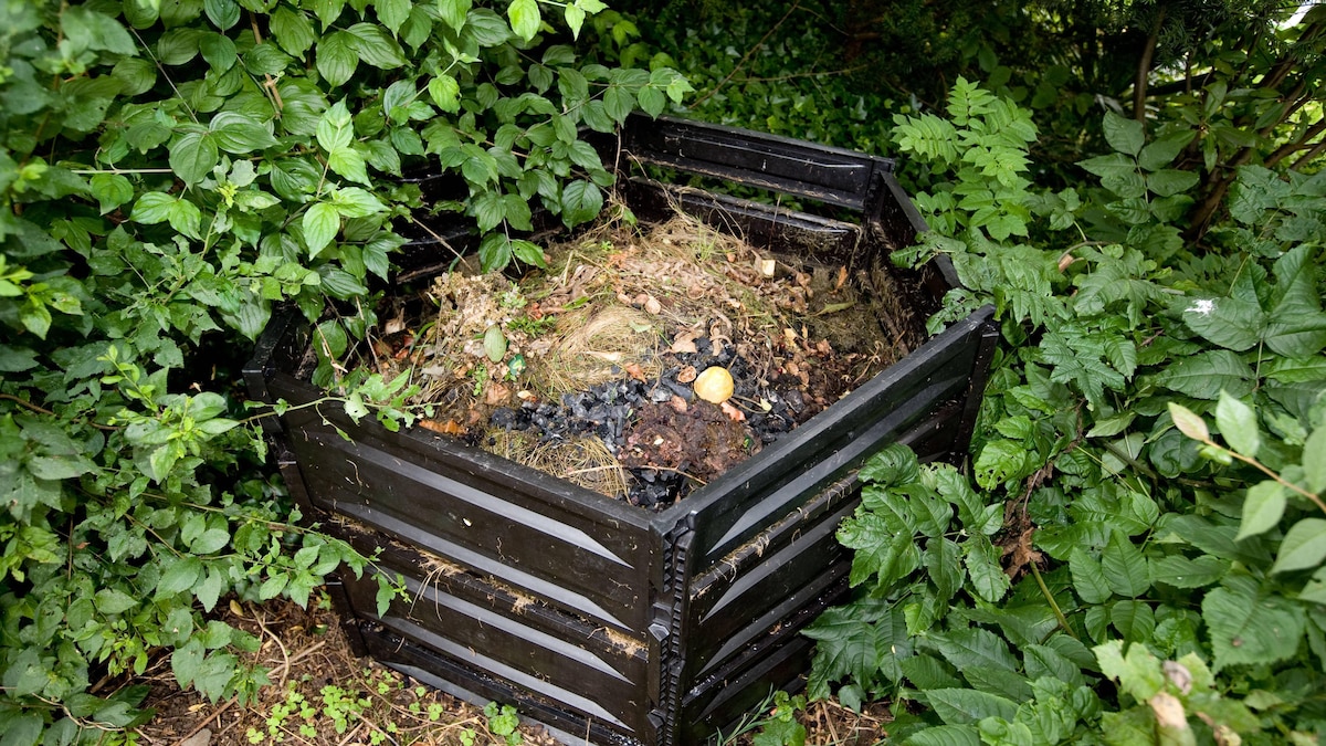 Esslingen, Kompost Komposthaufen im Garten.