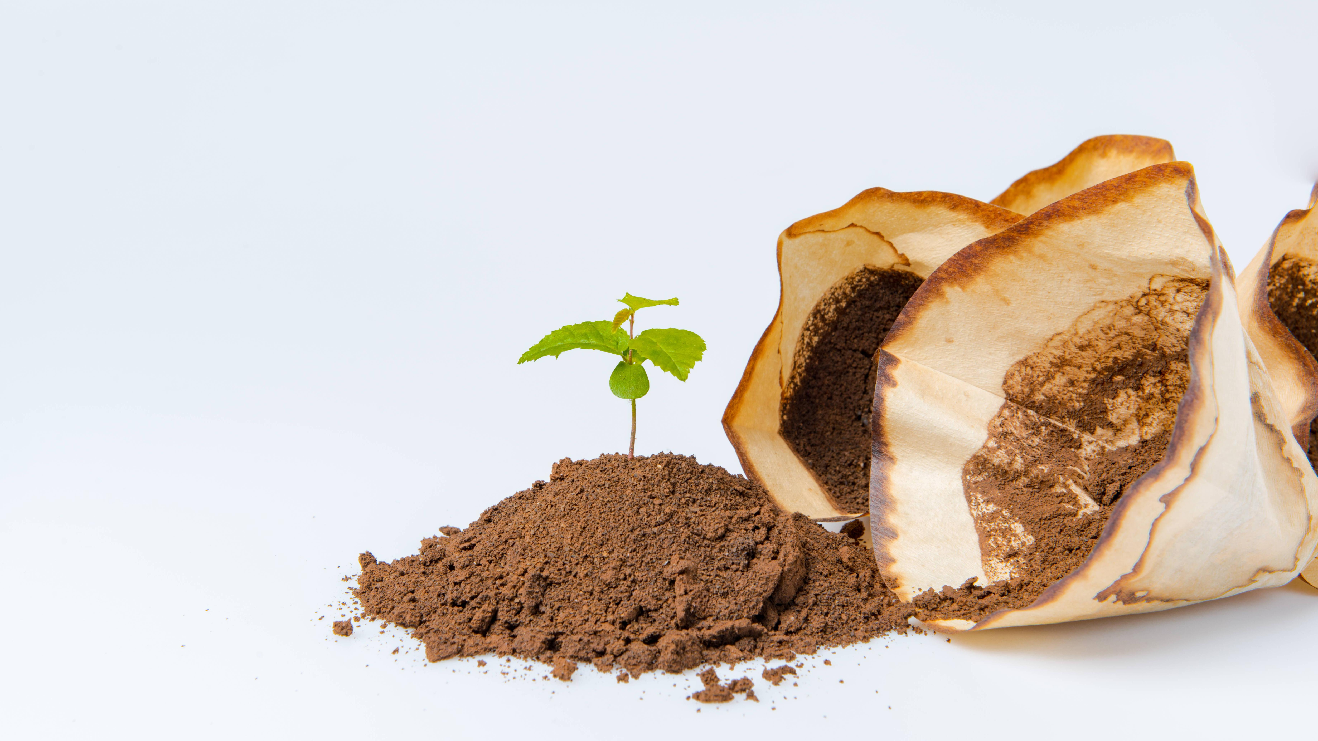 Was darf auf keinen Fall in den Abfluss? Die häufigsten Fehler und ihre Folgen 3 imago 88801688 n 227600