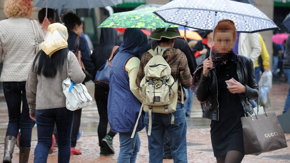 Regenschirm ins handgepäck - Die hochwertigsten Regenschirm ins handgepäck im Vergleich