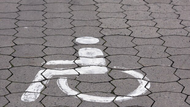 Gigabit lan kabel - Bewundern Sie dem Liebling unserer Experten