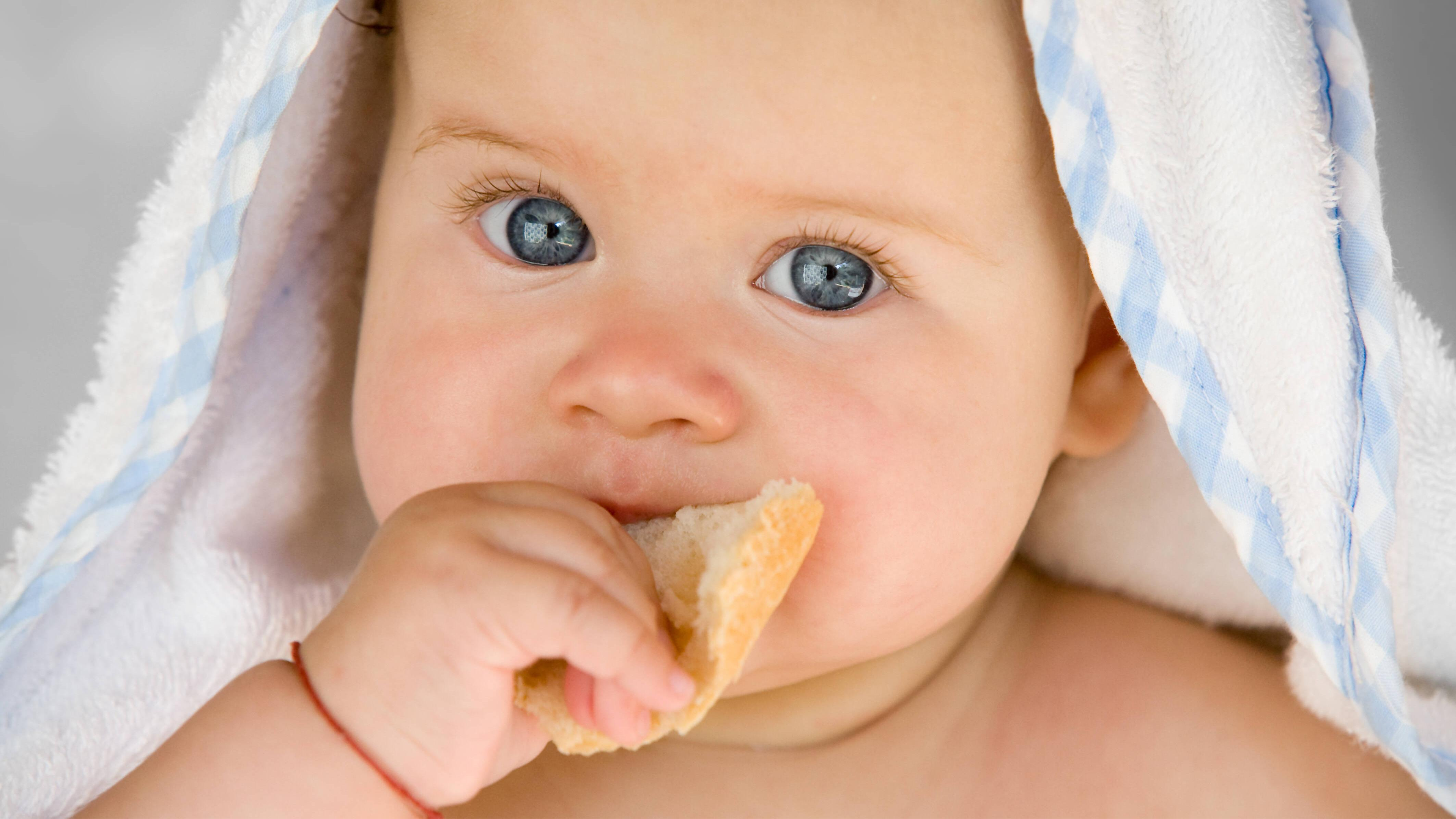 Babys erste Brotmahlzeit: Ab wann und welche Sorten sind empfehlenswert? Babys erste Brotmahlzeit: Ab wann und welche Sorten sind empfehlenswert?